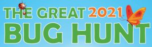 Great Bug Hunt 2021 competition logo Credit Association for Science Education