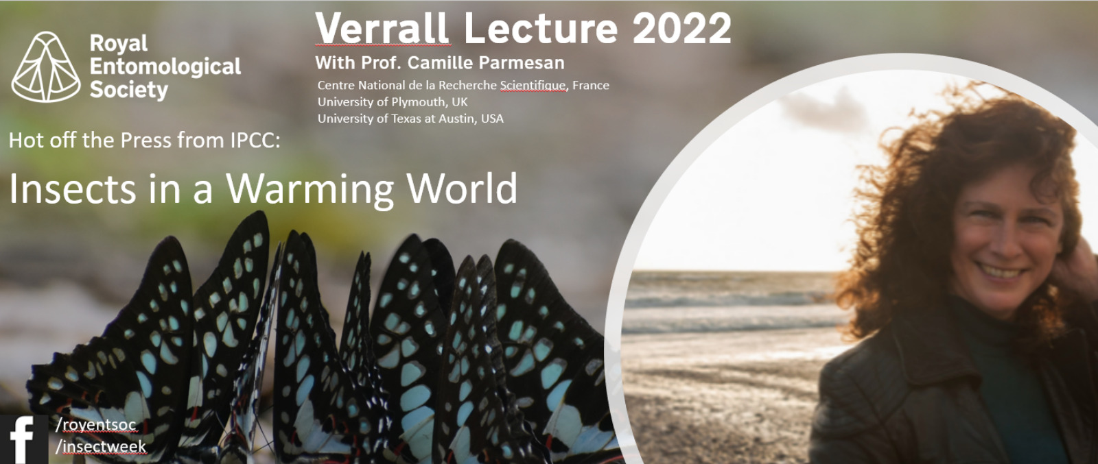 Watch the Verrall Lecture 2022 by Professor Camille Parmesan pic image