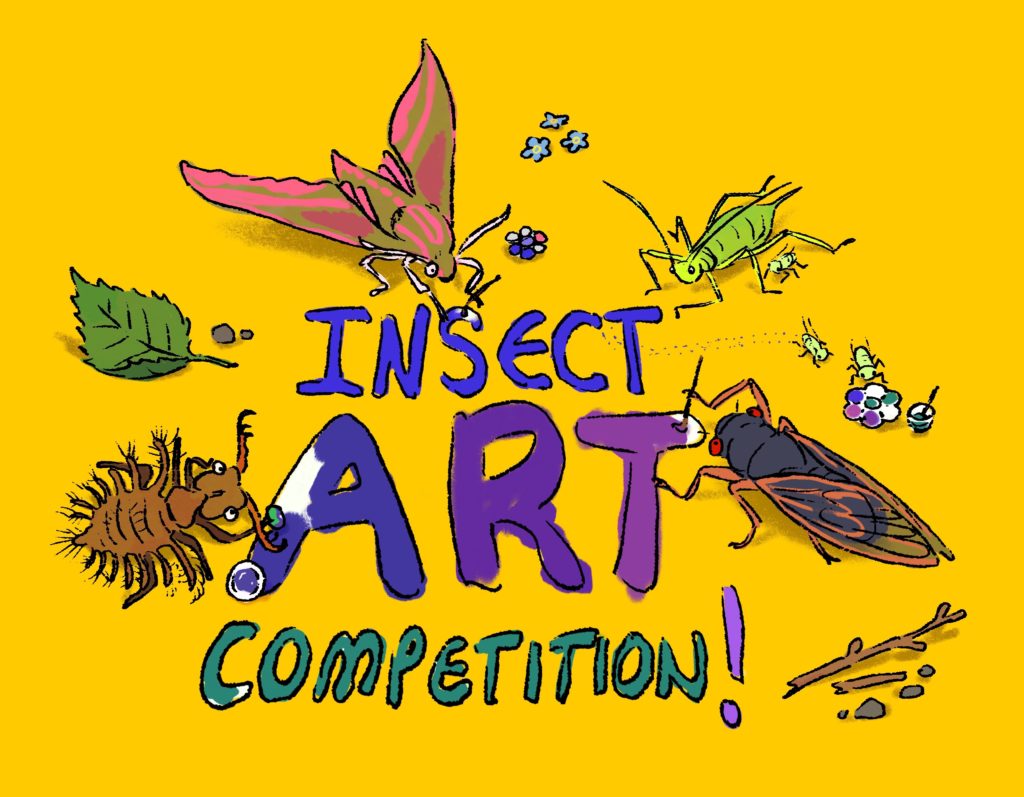 Insect Week Art Competition credit Dominique Vassie