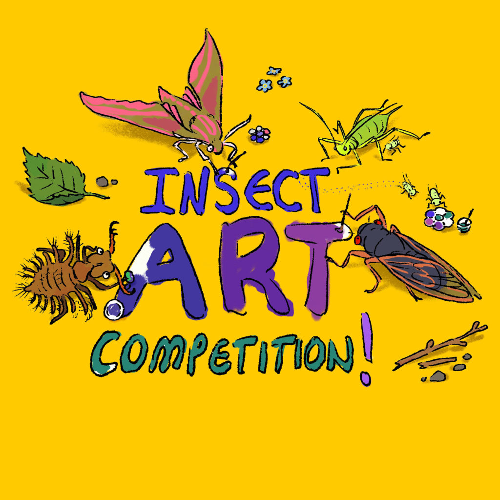 Insect Week Art Competition credit Dominique Vassie