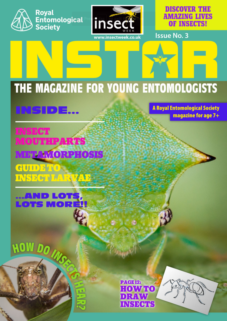 Insect Week 2024 Royal Entomological Society