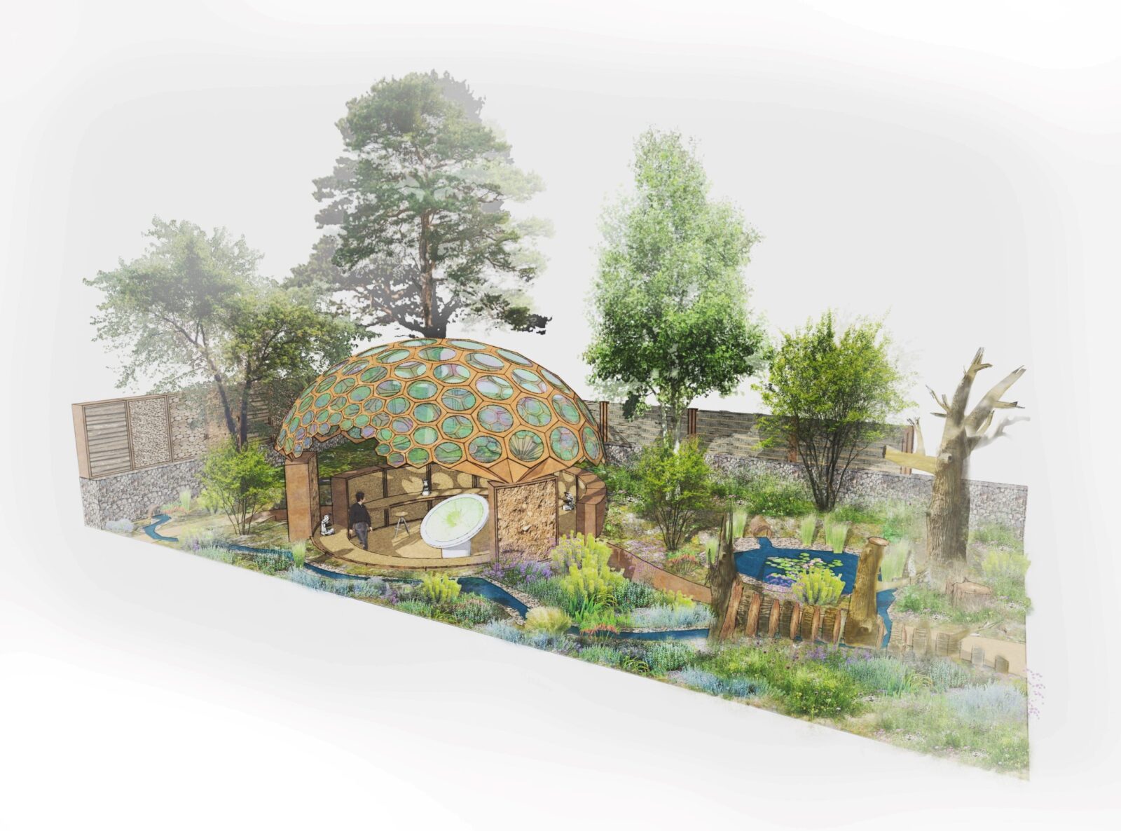 The Royal Entomological Society Garden designed by Chelsea Gold medal winner Tom Massey is inspired by the rich biodiversity found on brownfield sites, areas of wasteland that are highly beneficial to insect life.