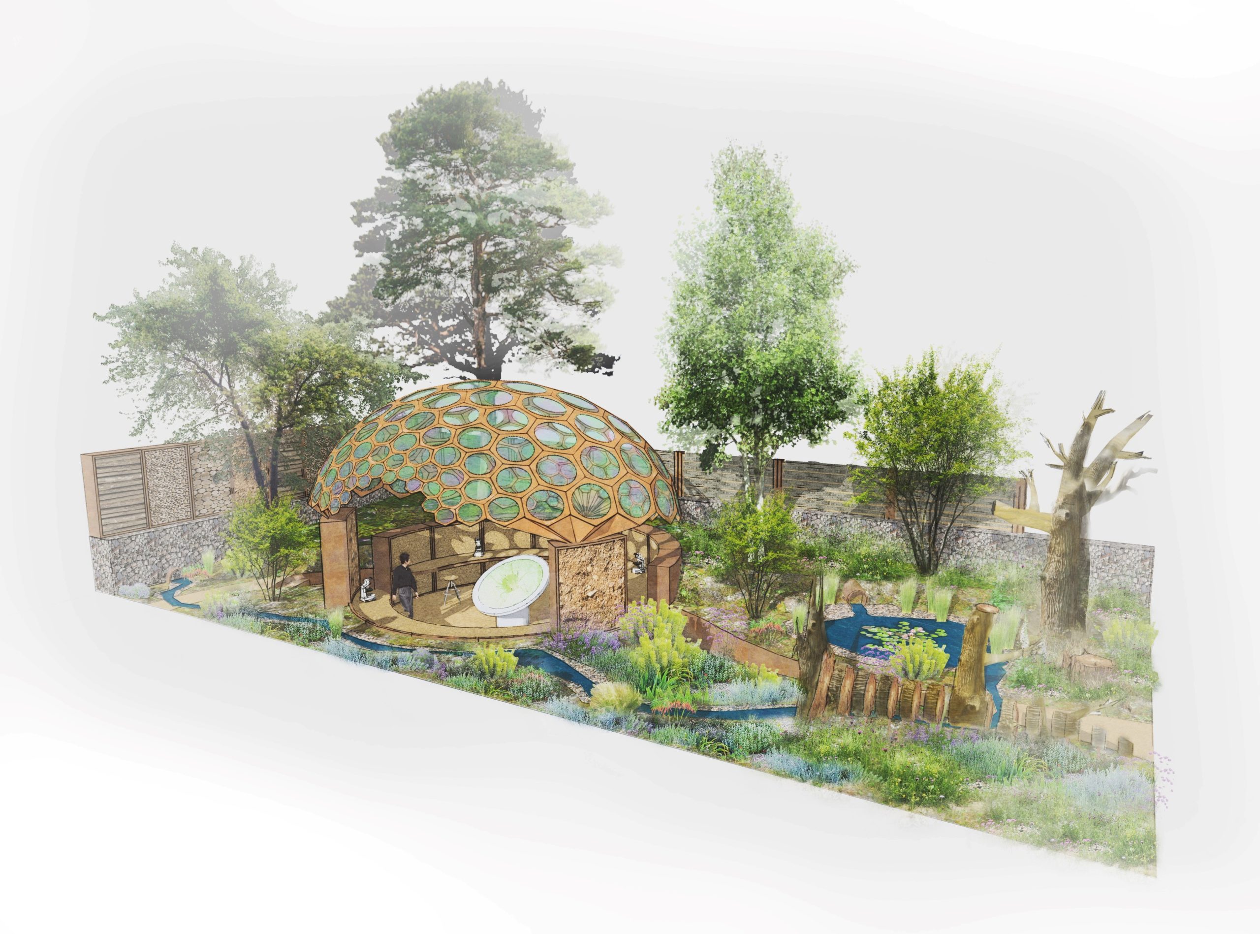 Image showing an artist's impression of the Royal Entomological Society Garden, which features large, mature trees, a wide range of flowering plants and foliage, a series of small ponds and waterways and a large domed structure, that has been designed to resemble a compound insect's eye and that will provide laboratory space for insect science to take place at the show.