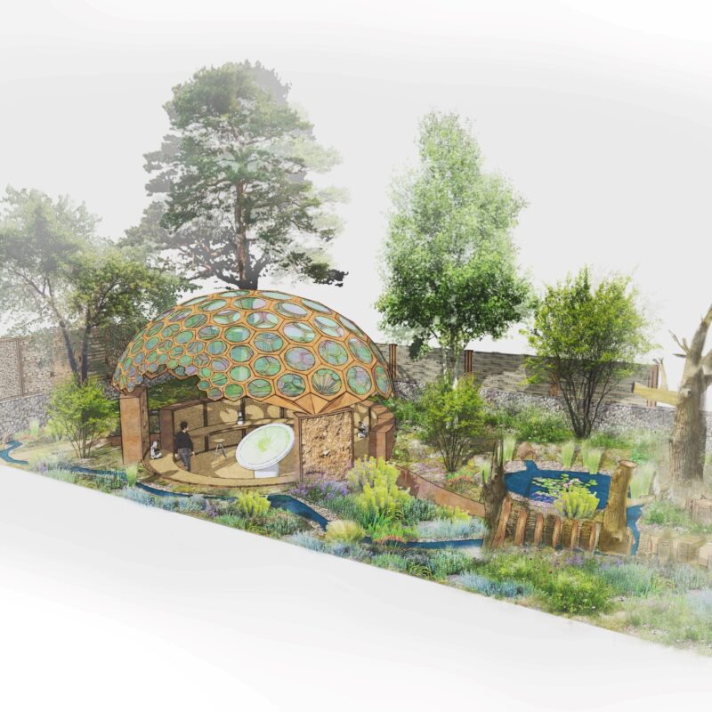 News headline thumbnail for RES to highlight crucial role of insects with first ever RHS Chelsea Flower Show Garden