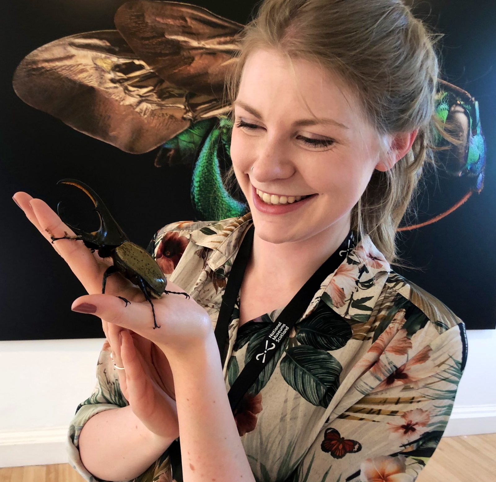 Jane Insect Insect Week 2026 - Our City Hubs - Royal Entomological Society