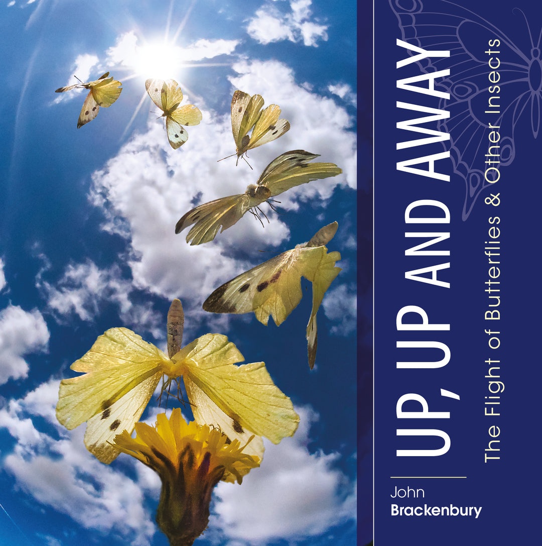Cover of the book Up up and away, showing butterflies flying into the sky