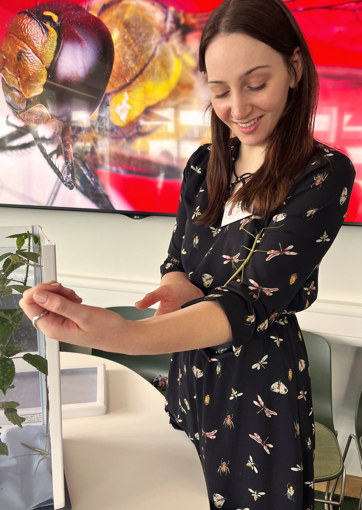 Gaia Mortier holding a stick insect.