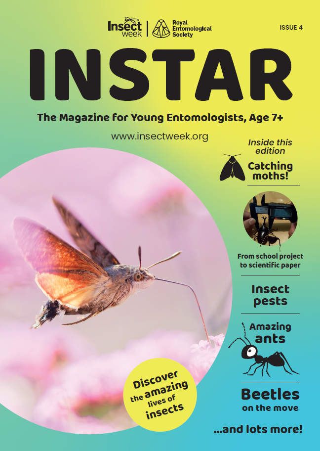 Instar Volume 4