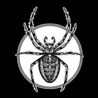 Logo for The Spider Shop