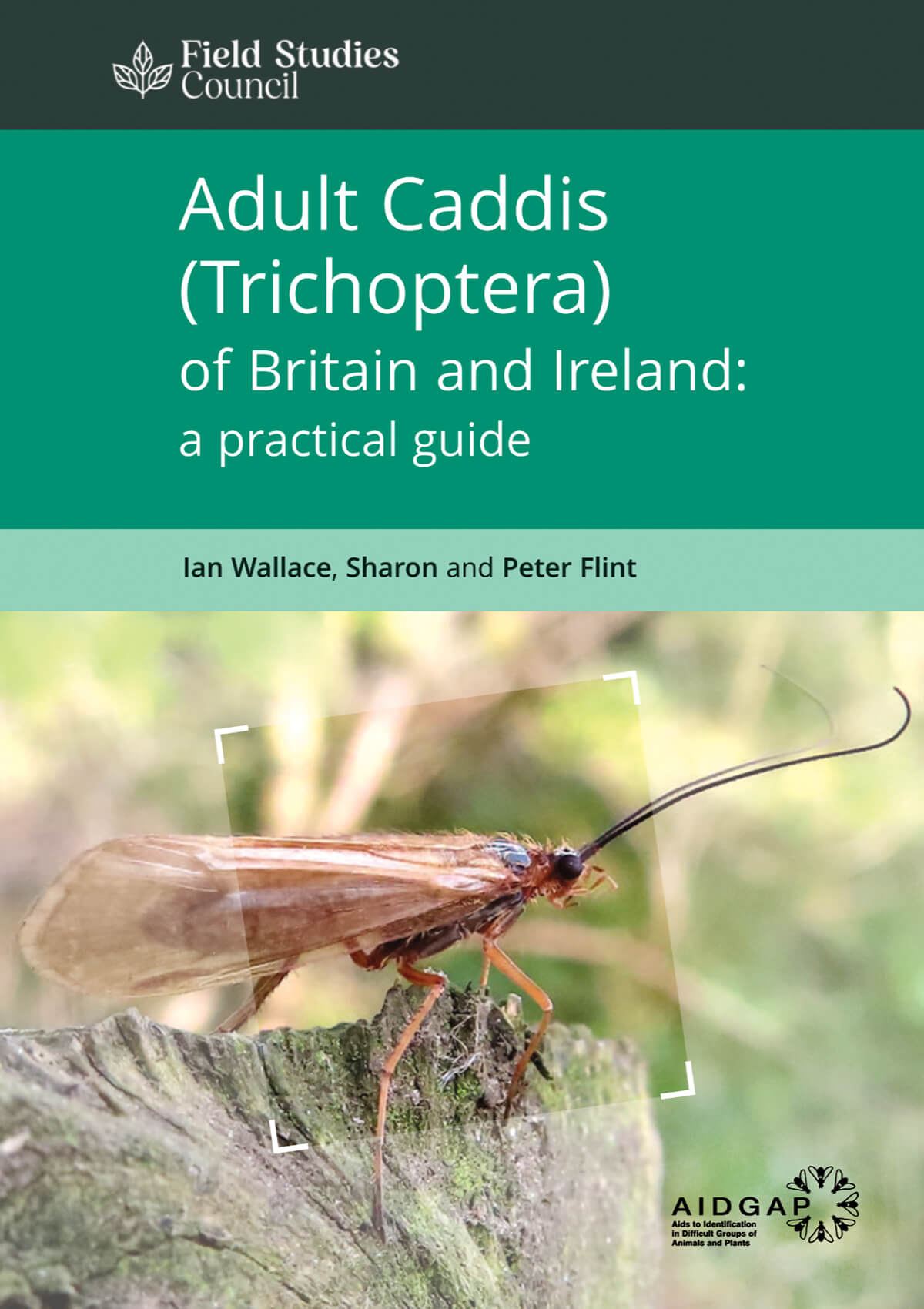Cover of the book Adult Caddis (Trichoptera) of Britain and Ireland: a practical guide, showing an adult caddisfly