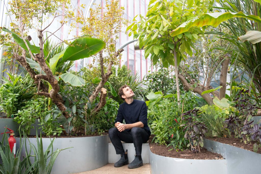 Tom Massey looking up at foliage whilst seated on a white ledge surrounded by plant life