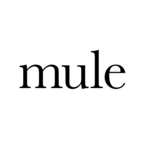 mule studio logo