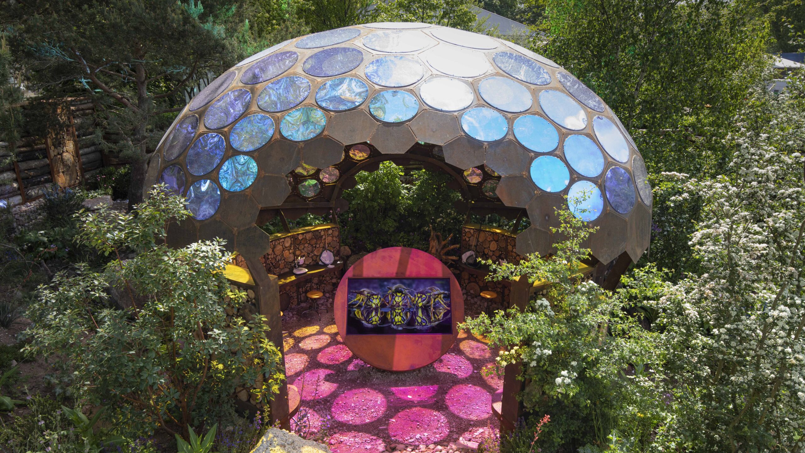 RHS Chelsea Flower Show 2023 Auction - Royal Entomological Society