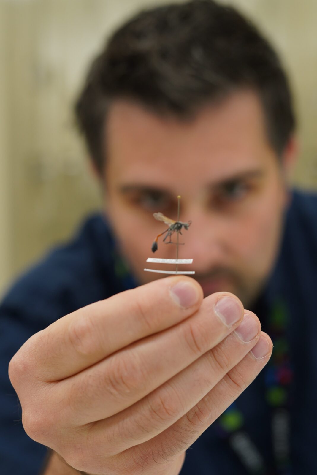 Tament Insect RES Statement on the Ethical Treatment of Insects - Royal Entomological ...