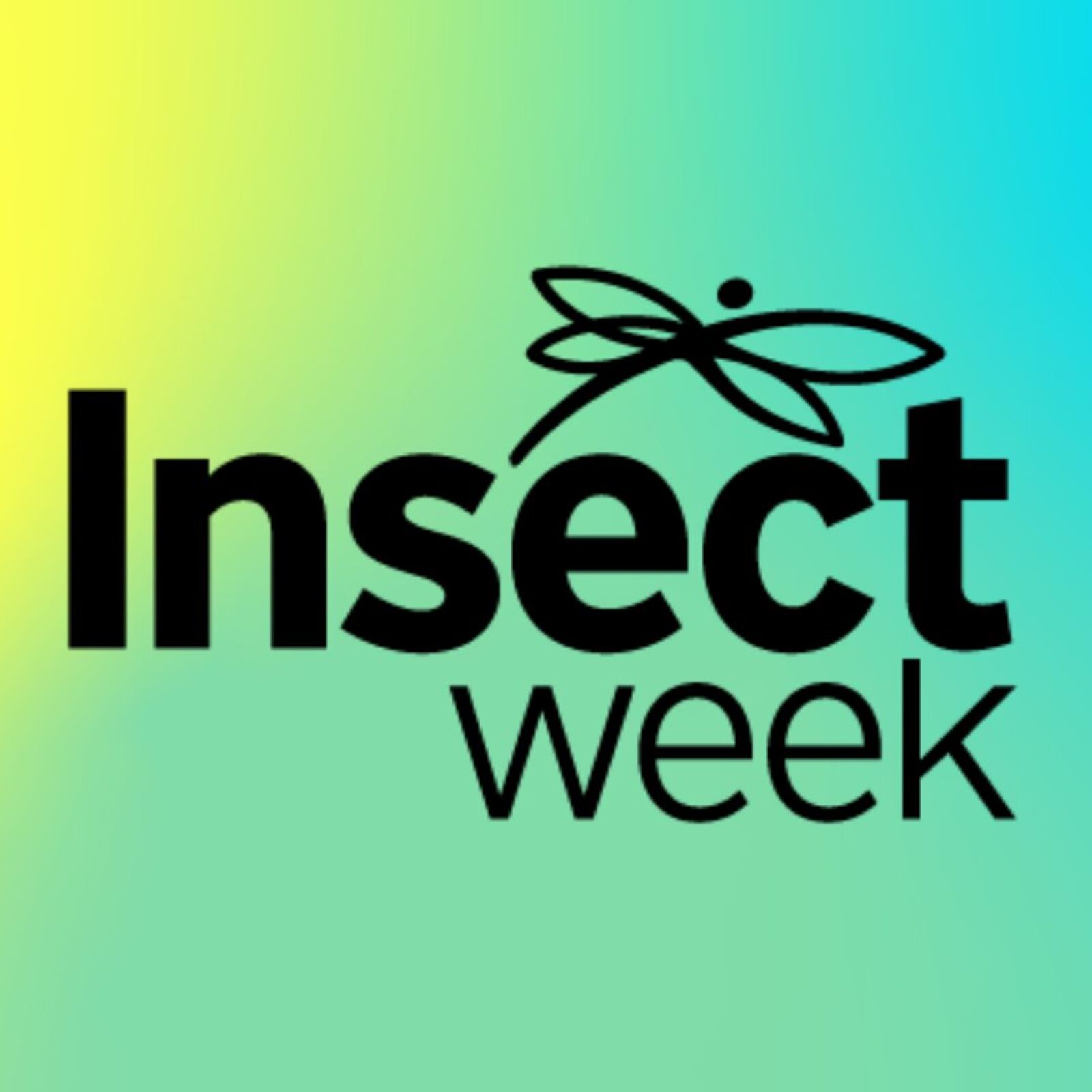 Insect Week logo on gradient background yellow green blue