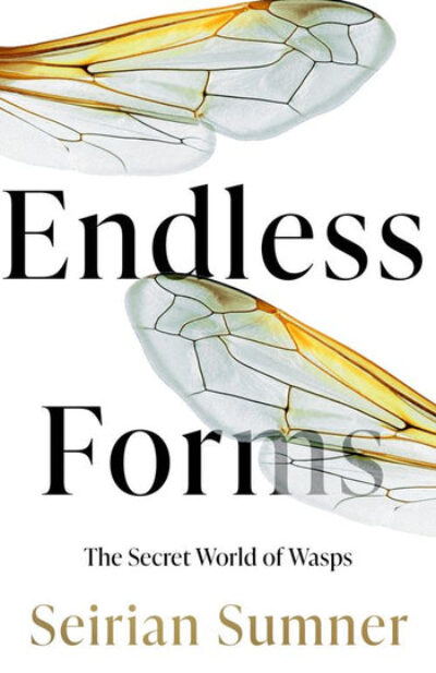 Cover of Endless Forms book by Seirian Sumner, showing two wasp wings