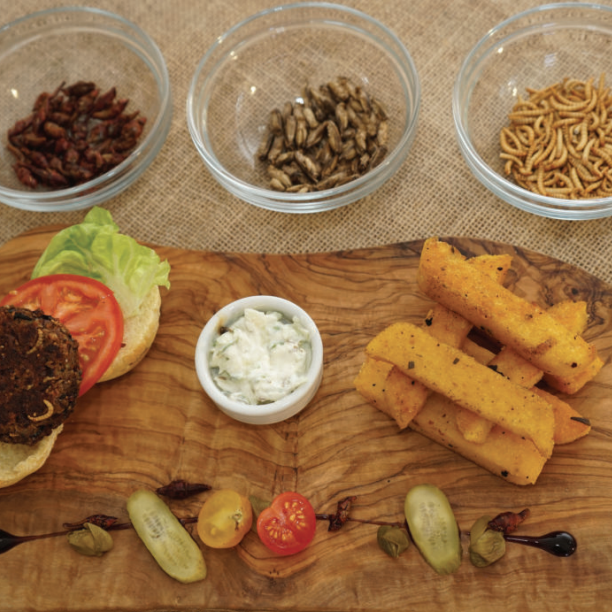 Food and Feed - image of insect protein creating burger filling on a chopping table