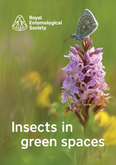 Insects in green spaces digital booklet - Royal Entomological Society