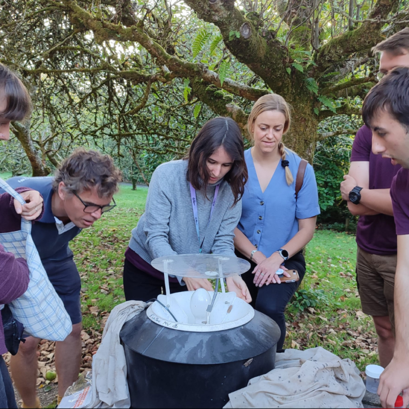 News headline thumbnail for Help us secure a future for insect science