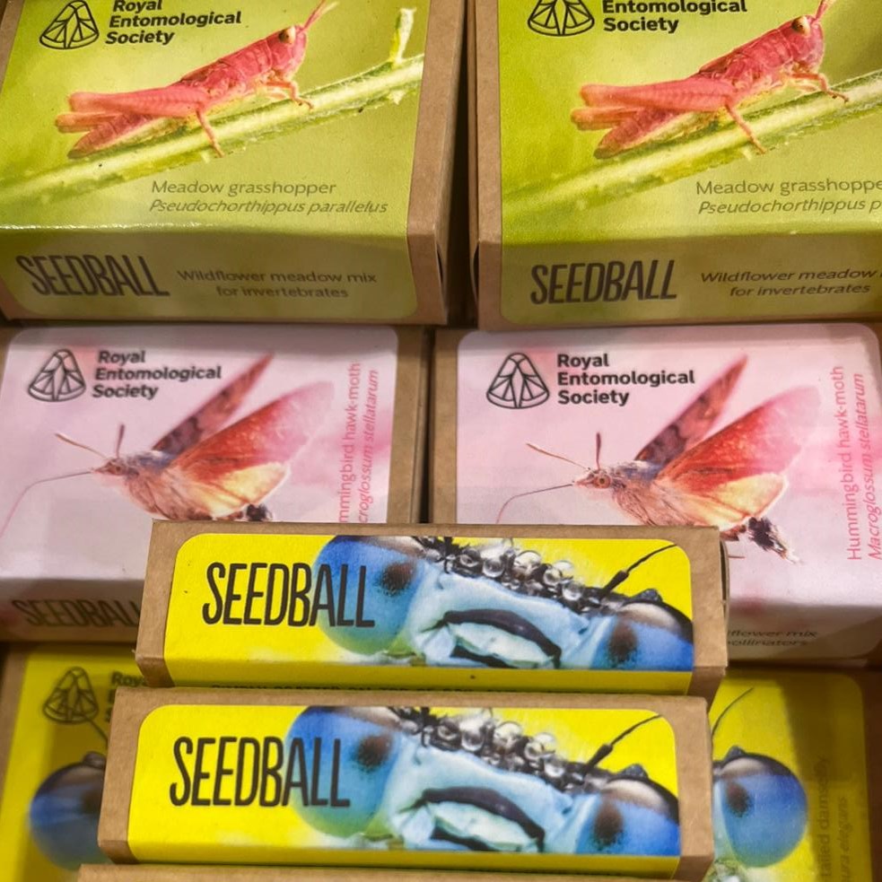 Seed boxes, in collaboration with Seedball