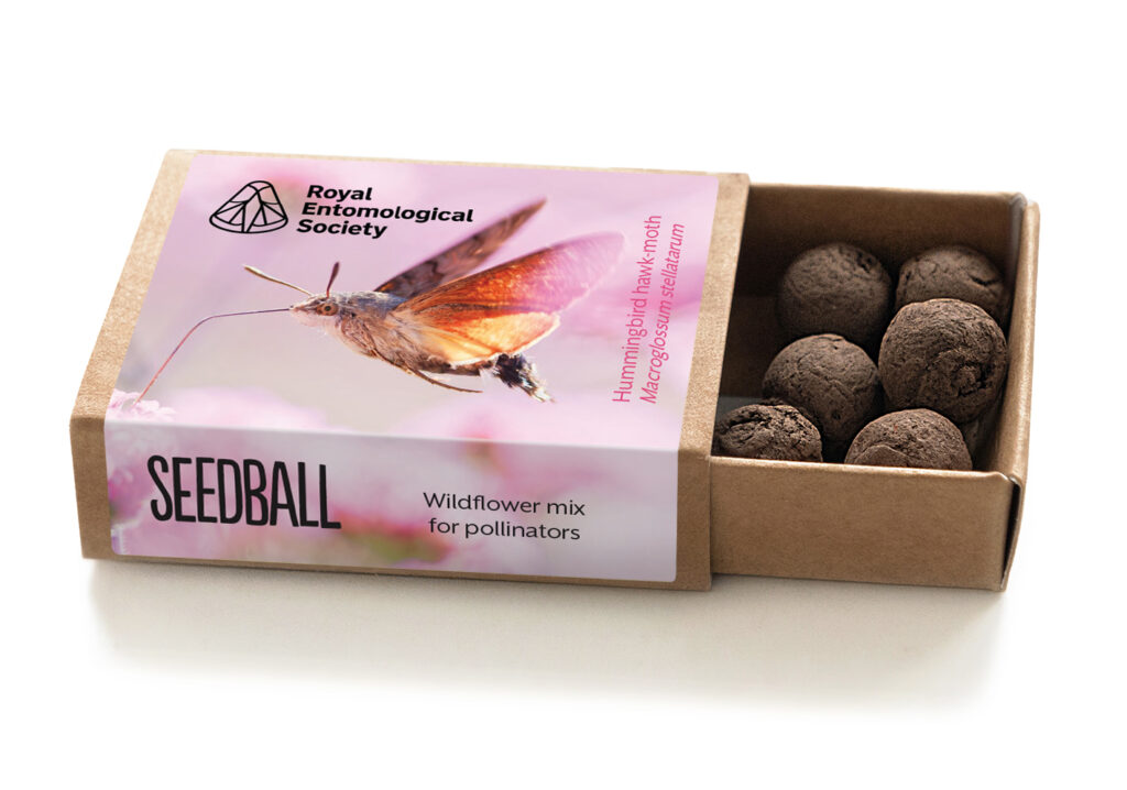Pollinator mix - Image of an open seed box, in collaboration with Seedball featuring a hummingbird hawkmoth on a pink background