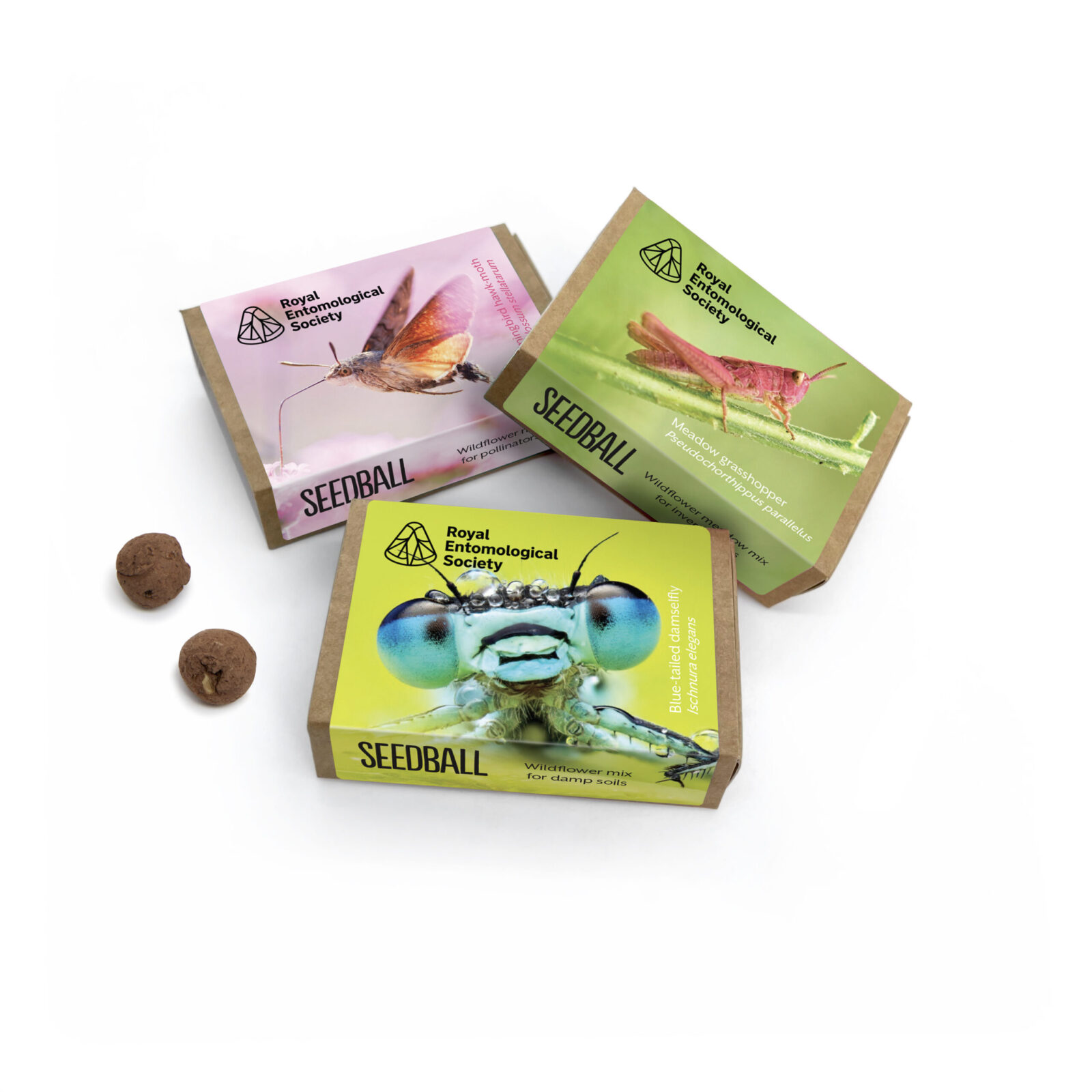 Three seed boxes, in collaboration with Seedball featuring a hummingbird hawkmoth on a pink background, a damselfly on a yellow background and a grasshopper on a green background.
