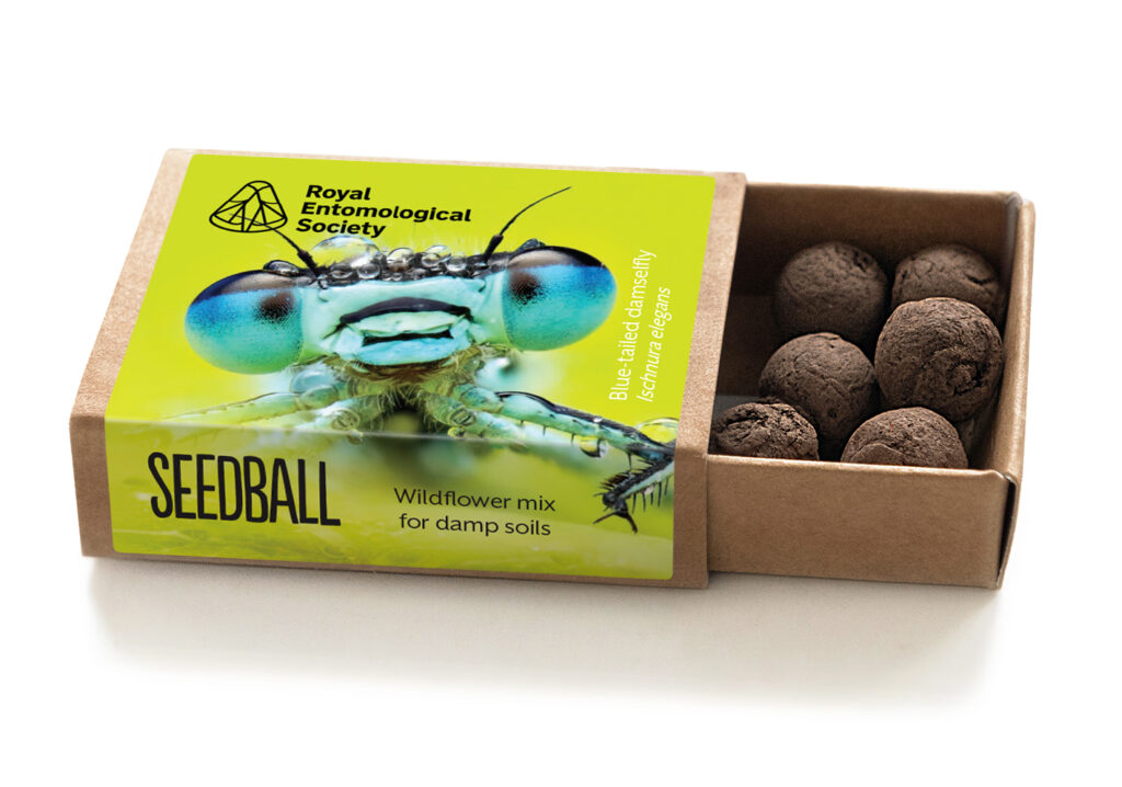 Damp Soil Mix - Image of an open seed box, in collaboration with Seedball featuring a damselfly on a yellow background