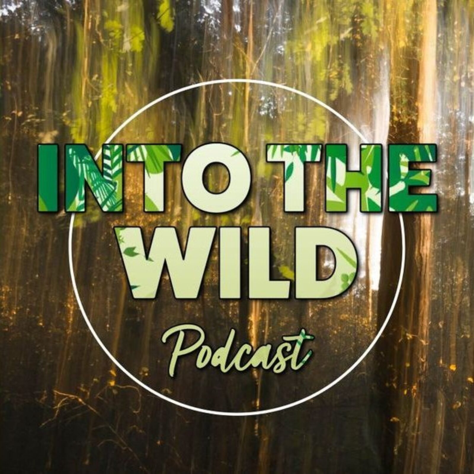 Into The Wild Podcast logo