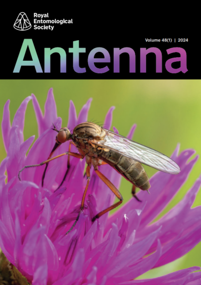 Antenna Volume 48 (1) 2024 cover