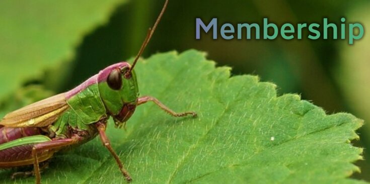 Green themed Membership advert banner, featuring orthoptera