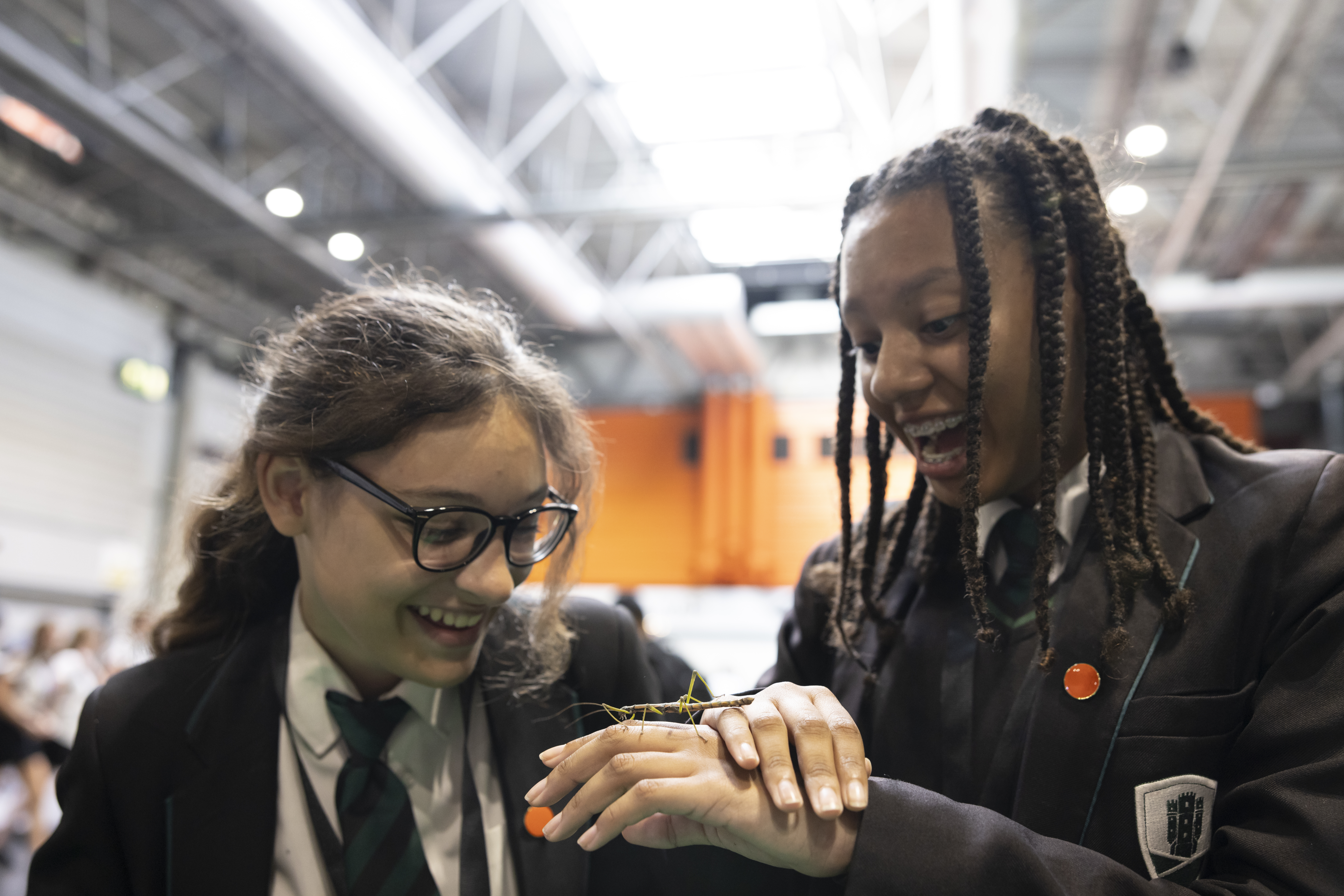 Young people holding insects on the RES stand at the Big Bang Fair 2023