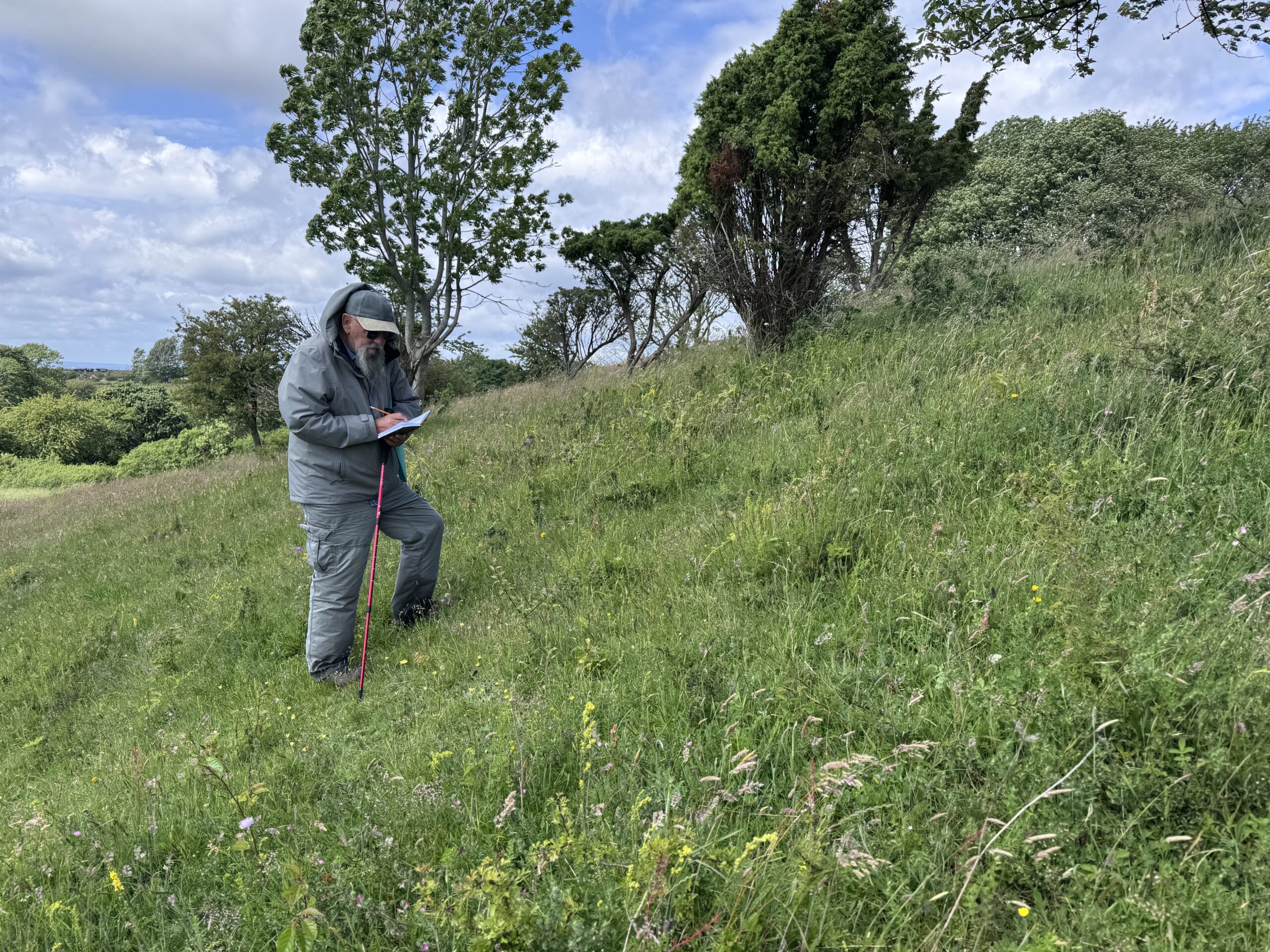 David Simcox conducting research surveys in Denmark