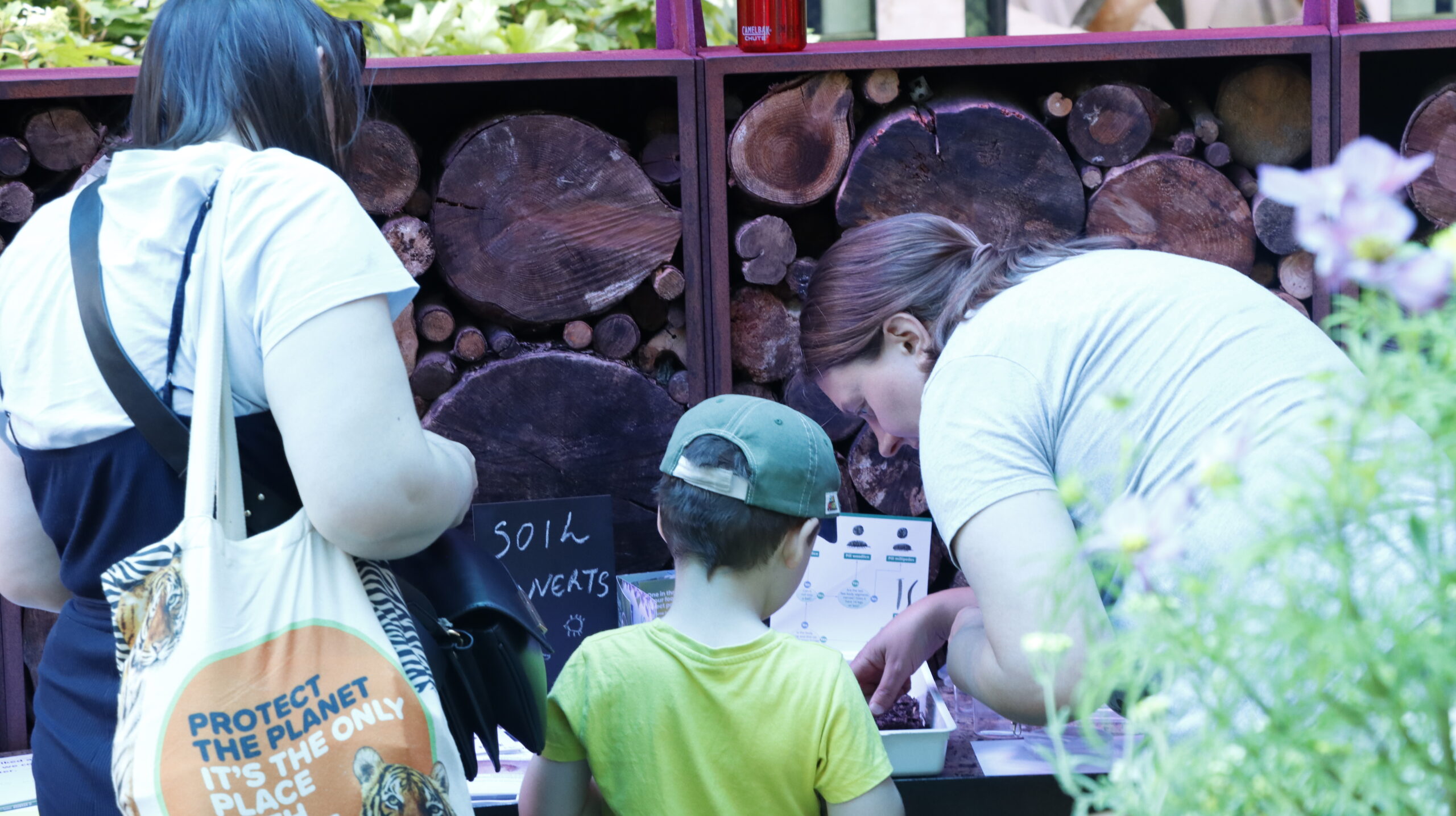 Two adults and a child looking at information on insects at the #RESGarden event during Insect Week 2025