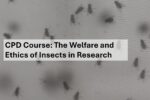 Insect Employer Insect Welfare and Best Practices - Royal Entomological Society