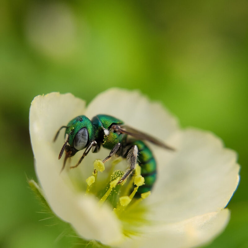 News headline thumbnail for OA Week 2025 – Why Open Access Matters