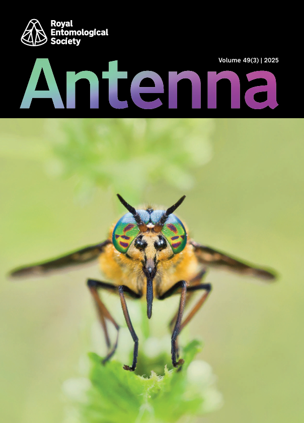 Antenna Volume 49 (3) 2025