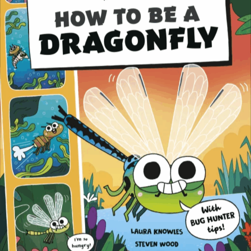 News headline thumbnail for New book – How to be a Dragonfly