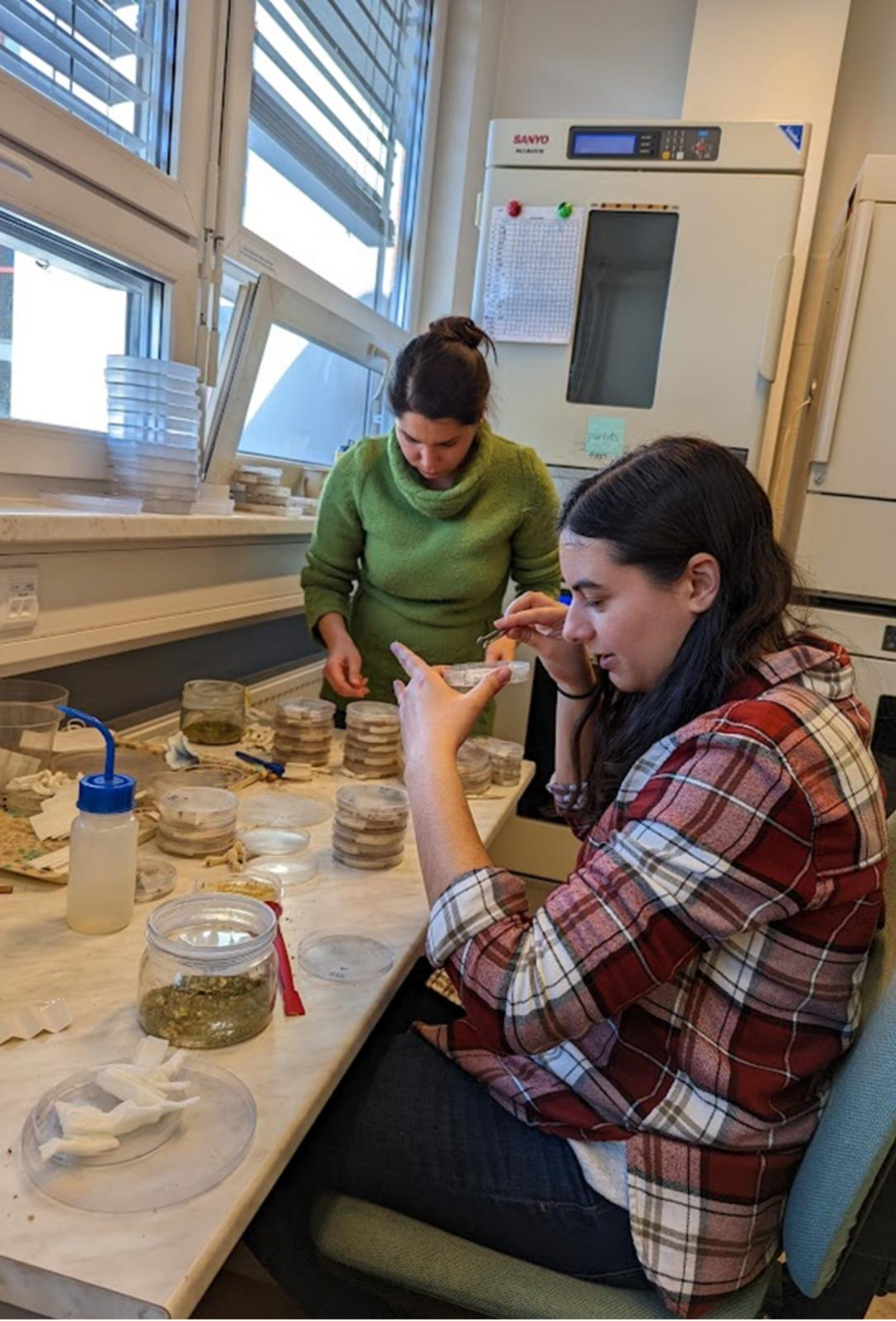 Samaneh Sakaki and Brianna Santamaria 