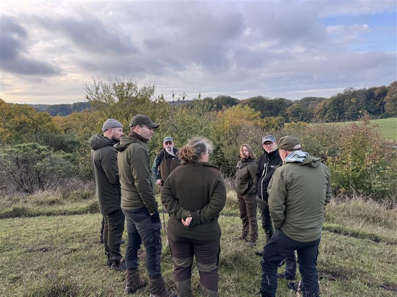 A group of people gathered on a hilltop under a grey sky