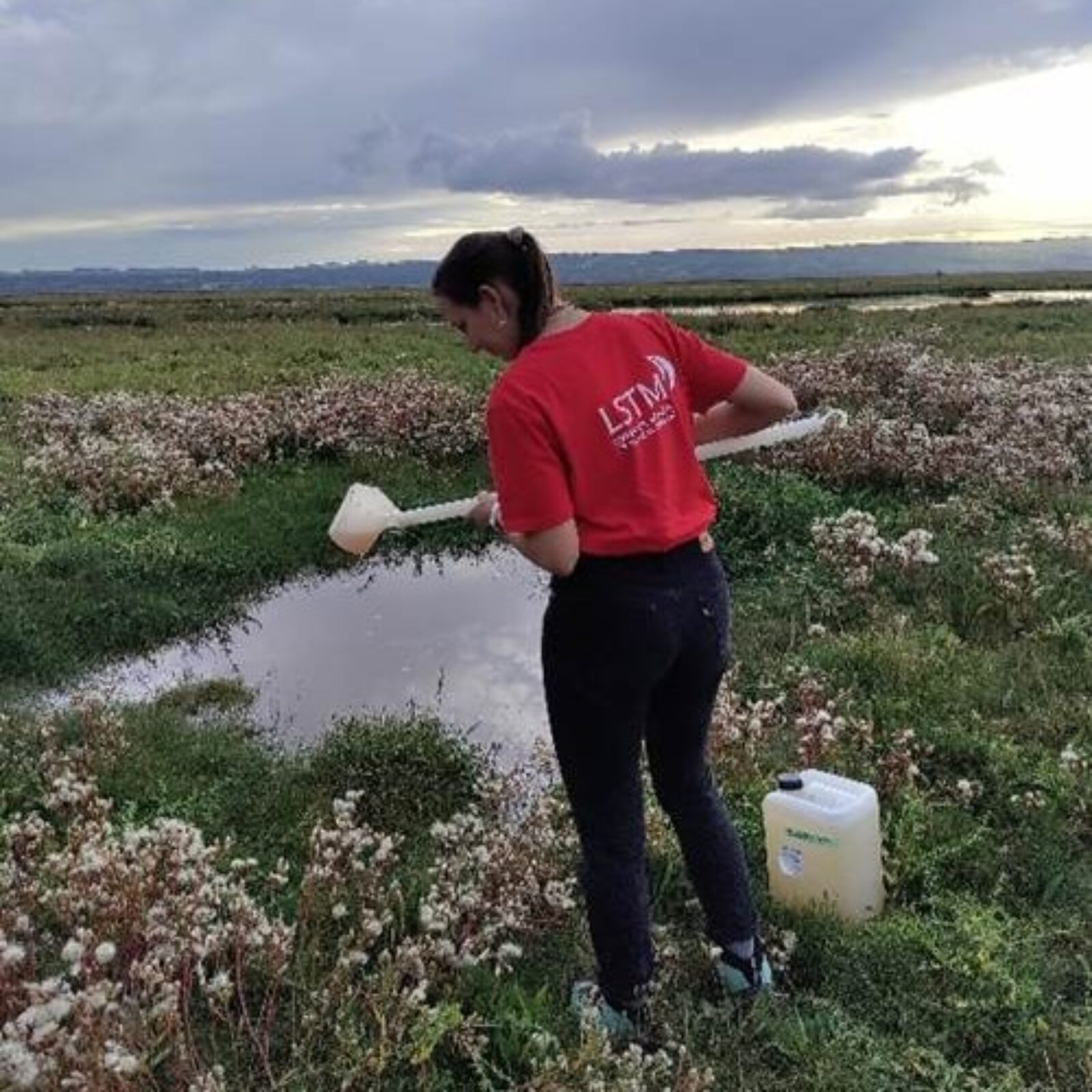 Dr Nadja Wipf sampling Aedes detritus on Dee Estuary, UK