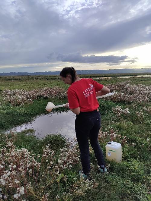 Co-author Dr Nadja Wipf sampling Aedes detritus on Dee Estuary, UK