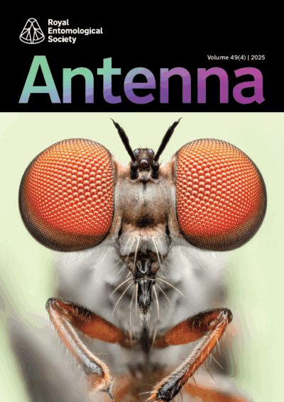 Antenna Volume 49 (4) 2025 cover featuring a detailed Gnat Ogre (c) Benjamin Salb