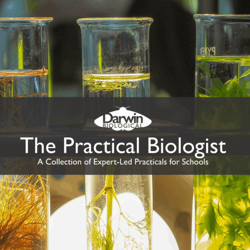 News headline thumbnail for The Practical Biologist