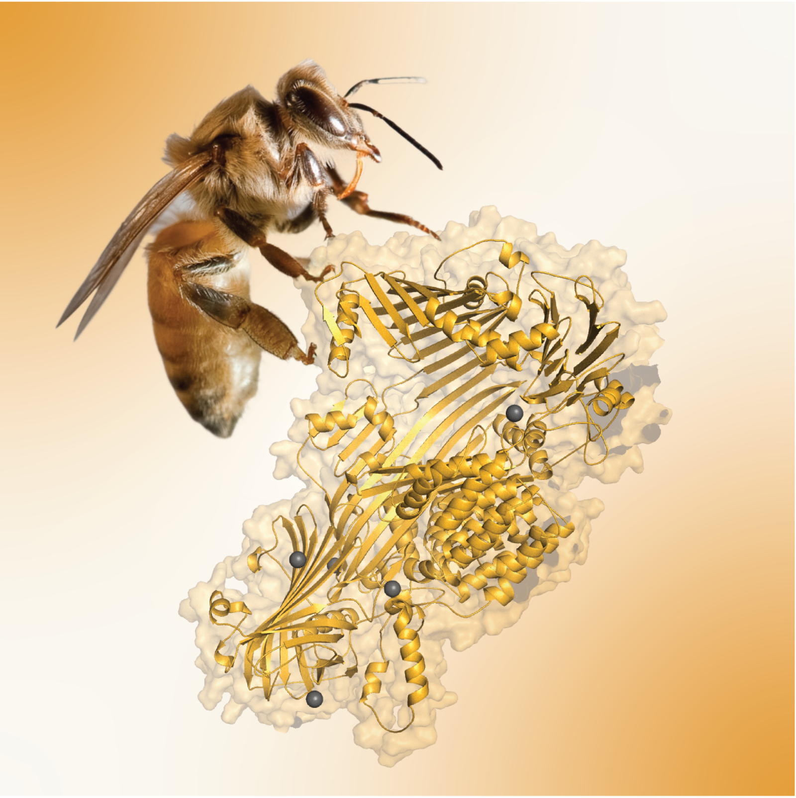 Photo Christofer Bang and structure Vilde Leipart - IMB 2026 journal cover