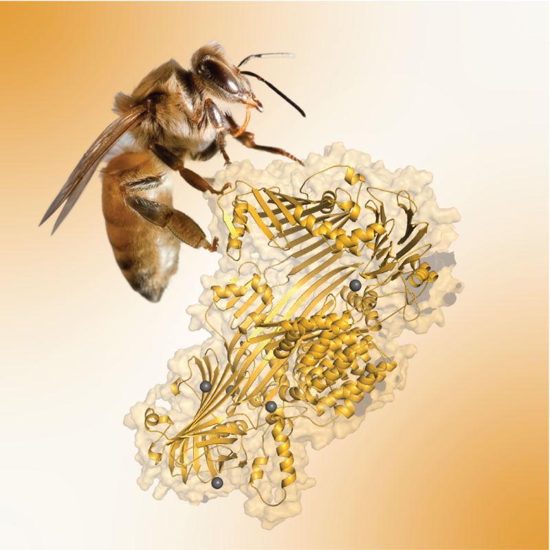 News headline thumbnail for New Year, New Journal Covers 2026