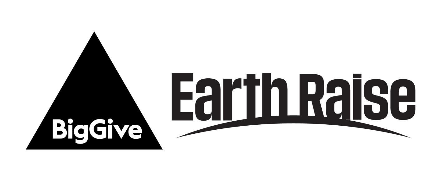 Big Give Earth Raise logo