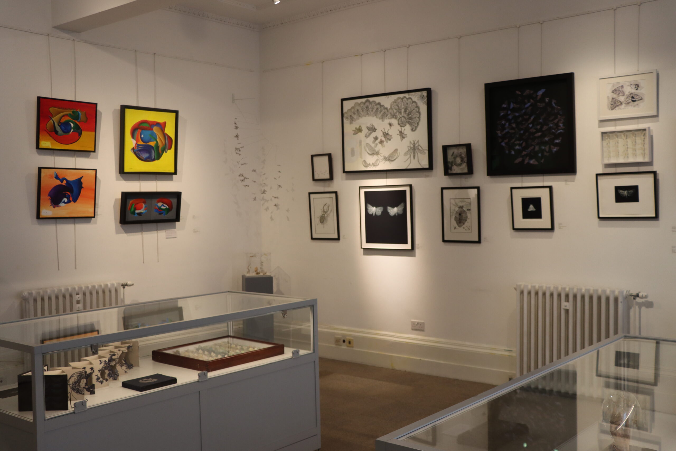 Artwork displayed at Entographica, Bath 2026