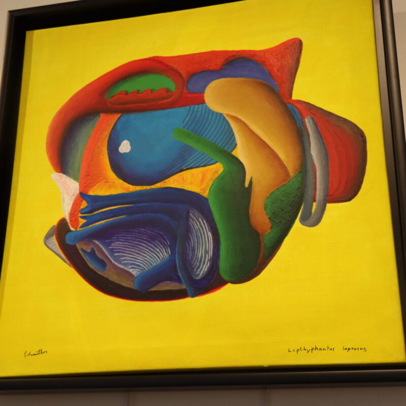 News headline thumbnail for RES Honorary Fellow Peter Smithers Exhibits Artwork at Bath Entographica