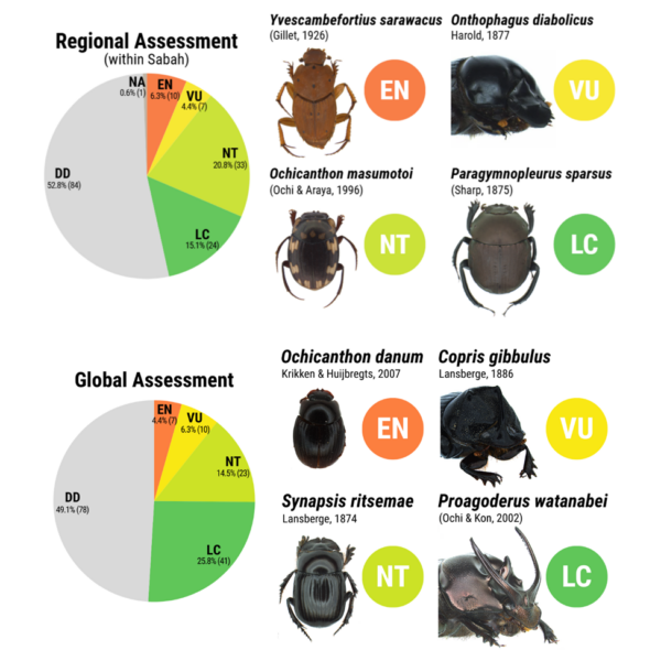 Reshm Insect RES Journal Highlights - Royal Entomological Society