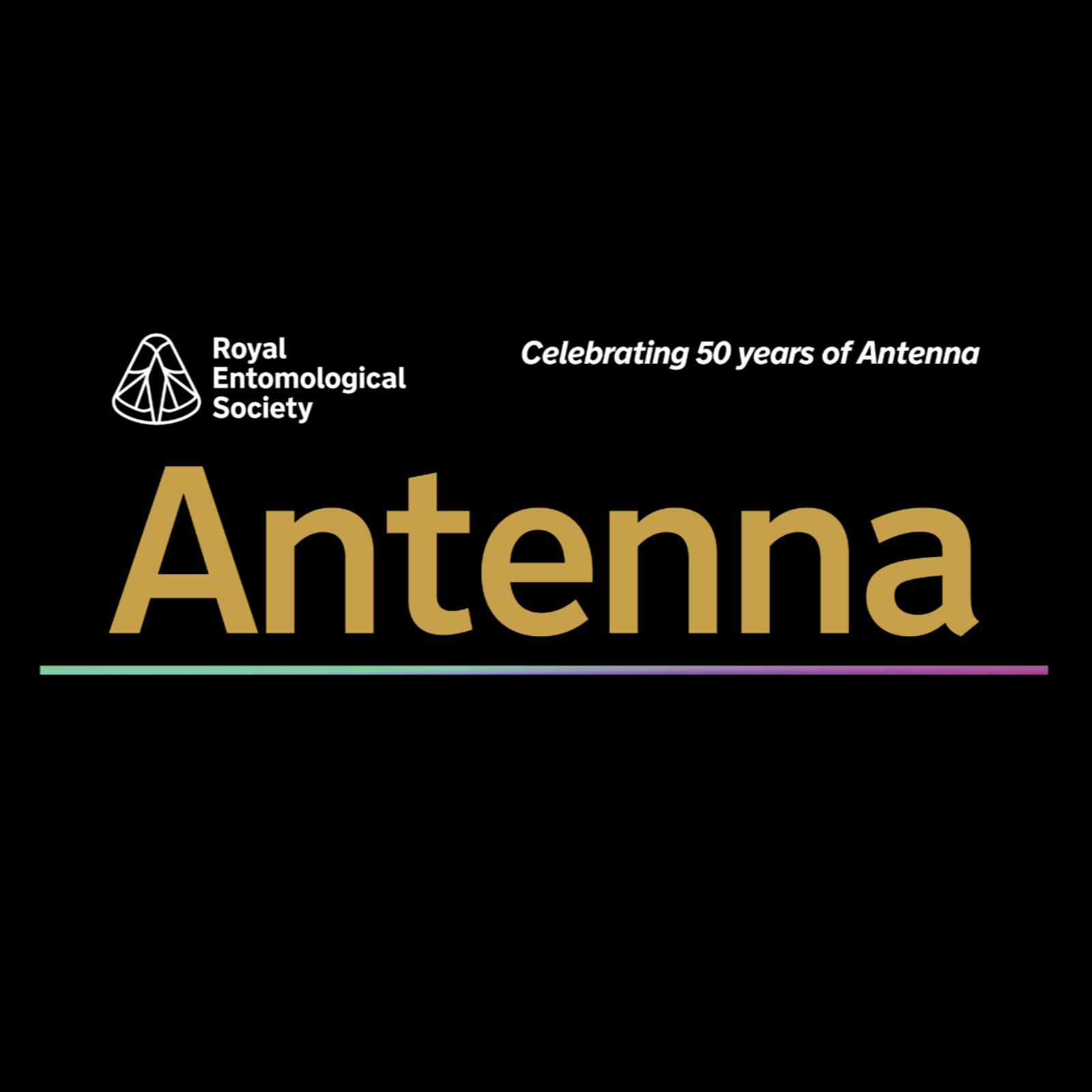 Antenna 50-1